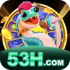 53h Logo
